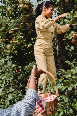 How a Backyard Garden Can Help You Build Stronger Roots in Your Community